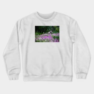 Moose / Swiss Artwork Photography Crewneck Sweatshirt